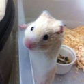 心優しい里親様と出会いました！！