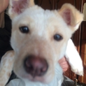 ４カ月の男の子です。