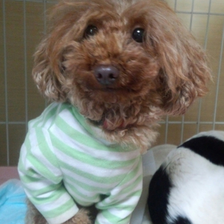 温かい家族を待ってます！