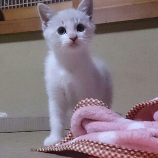 おてんばみーちゃん♪