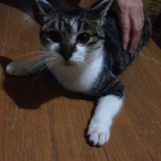 遊ぶの大好き