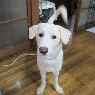 【よういち】臆病な面もありますが、大らかです。