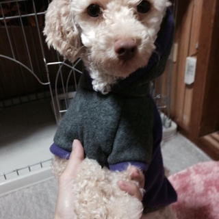 お問い合わせいただいた方々ありがとうございました。