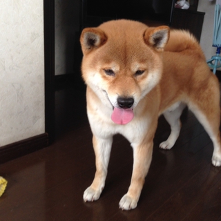 僕、甘えんぼなの。。
