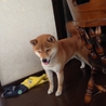 僕、甘えんぼなの。。 サムネイル2