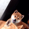 僕、甘えんぼなの。。 サムネイル4