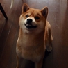僕、甘えんぼなの。。 サムネイル5