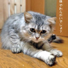 ふさ子です。 サムネイル2