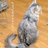 ふさ子です。 サムネイル3