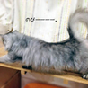 ふさ子です。 サムネイル4