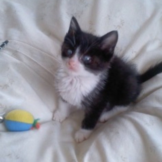 俺と楽しく暮らそうよ！