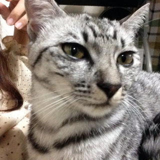 可愛がってくれる方