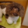 多数の応募ありがとうございます！ サムネイル2