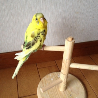 たくさんのご応募ありがとうございました！