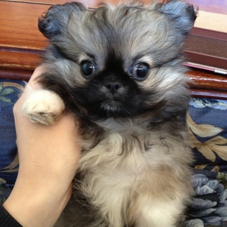 無事にお近くの方にお決まりしました。