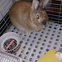 ありがとうございました。