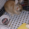 ありがとうございました。 サムネイル1