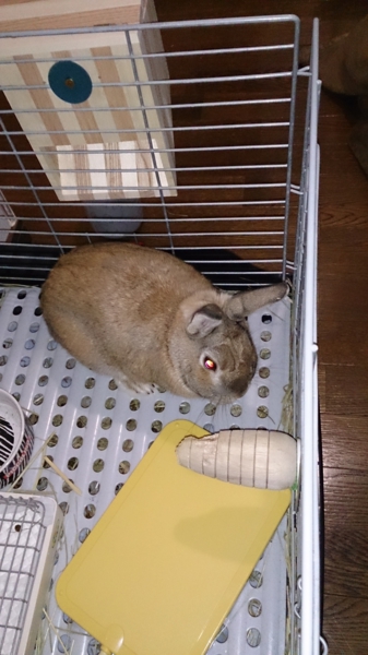 ありがとうございました。 サムネイル4