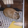ありがとうございました。 サムネイル4