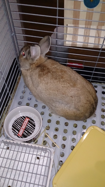 ありがとうございました。 サムネイル3