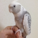 素敵な家族に出会えました＾＾