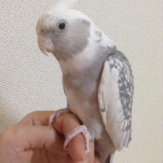 素敵な家族に出会えました＾＾