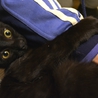 甘えん坊の黒猫男子☆まちゃあき サムネイル3