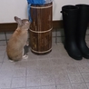 ありがとうございました。 サムネイル6
