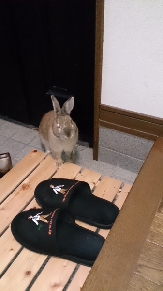 ありがとうございました。 サムネイル7