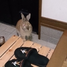 ありがとうございました。 サムネイル7