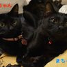 カギしっぽの黒猫♡アヤちゃん サムネイル5