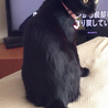 カギしっぽの黒猫♡アヤちゃん サムネイル6