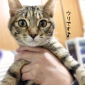 ウリちゃんです☆