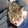 ウリちゃんです☆ サムネイル2