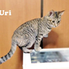 ウリちゃんです☆ サムネイル3