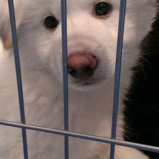 ありがとうございました。