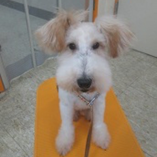 幸せなパートナー募集!!