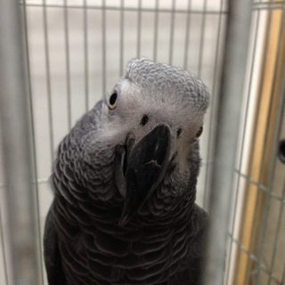 多数お問い合わせありがとうございました。