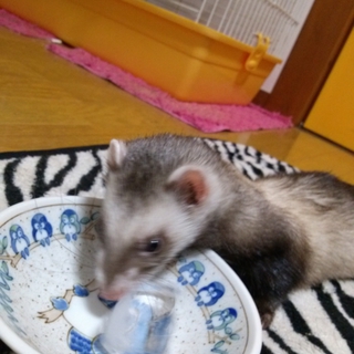 たくさんの応募ありがとうございました。