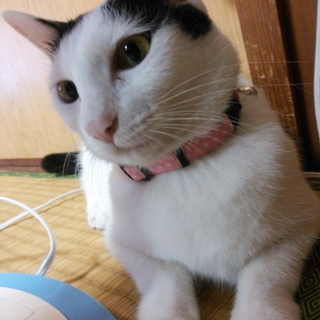 まずは一度、会ってみてください！