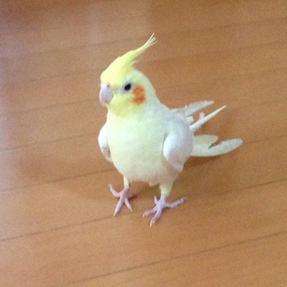 ステキな方と出会うことができました！