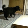 ありがとうございました。 サムネイル6