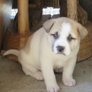 おっとりイサク二ヶ月目