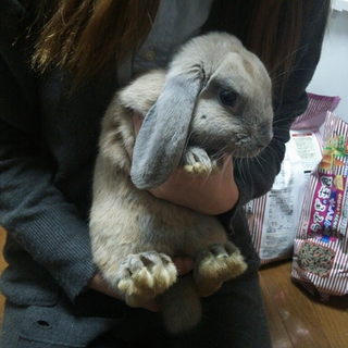 交渉中