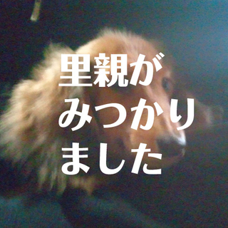 優しい里親見つかりました。