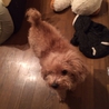 ありがとうございました サムネイル6