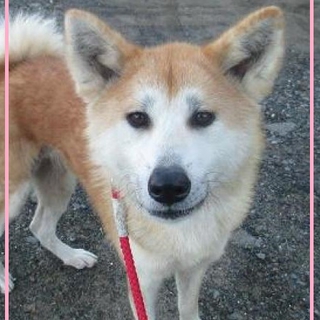 ♪フレンドリーでにっこり笑顔のともえさん♪