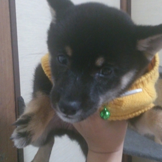 里親様が見つかりました★