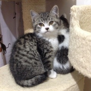 パン☆遊ぶの大好き