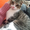 人間大好き！市川海老蔵似(●ↀωↀ●)✧  サムネイル7
